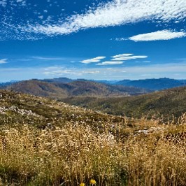 The Annabel's Alpiners
